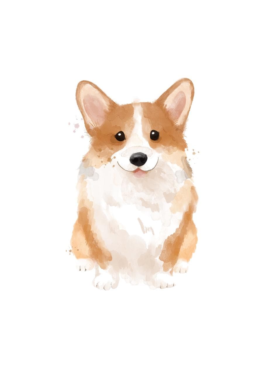Mascote corgi